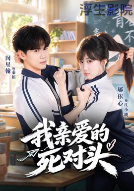 我亲爱的死对头 现代都市全集